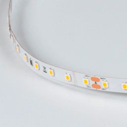 Светодиодная лента LUX, 2835, 98 LED/м, 10 Вт/м, 24В, IP33, Теплый белый (3000K), DSG298-24-WW3-33