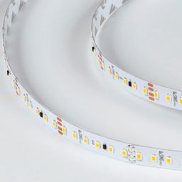 PRO 2835 LED таспа, жылы ақ, SWG2P120-CC-24-9.6-WW
