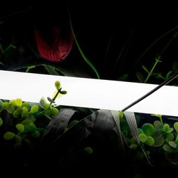 Неоновая лента нейтральная белая 24В IP66 16Вт/м 360 LED/м SMD2835 360° D25 SWG-2360-24-NW-66