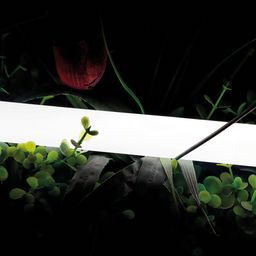 Неоновая лента тёплая белая 24В IP66 16Вт/м 360 LED/м SMD2835 360° D25 SWG-2360-24-WW-66