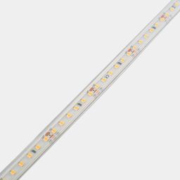 24 В жарықдиодты таспа, жылы ақ, IP65, 9,6 Вт/м, SMD2835, DSG2120-9.6-24-WW3-65
