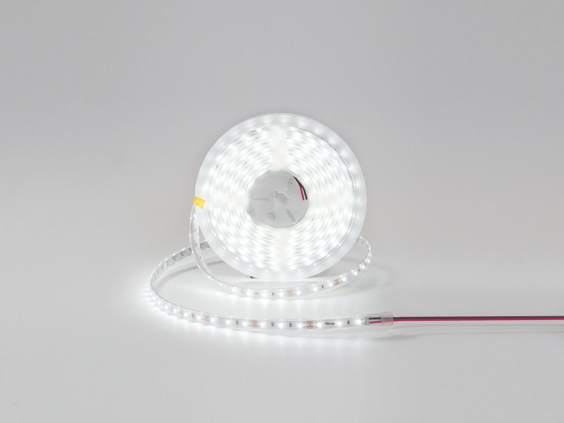 Катушкадағы IP65 LED таспа, салқын ақ жарық