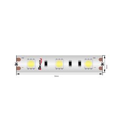 Светодиодная лента IP65 12Вольт холодное белое свечение, DSG560-12-W-65