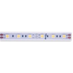 12 В контактілері бар SMD 5050 LED таспасының бөлігі