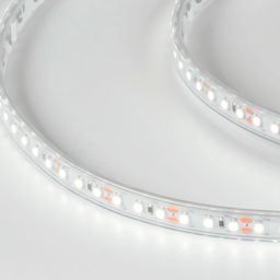 12V суық ақ жарықты LED таспа, DSG3120-12-W-65