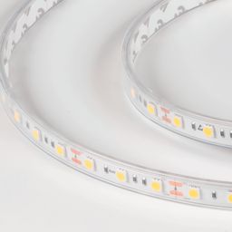 LUX жарықдиодты таспа, 5050, 60 LED/м, 14,4 Вт/м, 12В, IP65, Бейтарап ақ (4000K), DSG560-12-NW-65