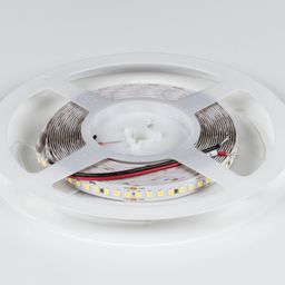 Катушка светодиодной ленты DesignLed 5 метров 24В