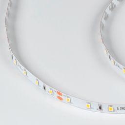 SWG PRO 2835 жарықдиодты таспа, 60 LED/м, 4,8 Вт/м, 24В, IP20, Түсі: Бейтарап ақ, SWG2P60-24-4.8-NW
