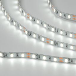 Светодиодная лента  5630, 60 LED/м, 12 Вт/м, 12В , IP20, Цвет: Холодный белый, SWG660-12-12-W-M