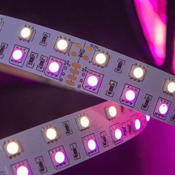 SMD5050 RGBW LED таспасының бөлігі, жарықдиодтар жақыннан көрсетілген