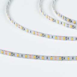 Лента SWG SMD5630 12В IP20, вид сверху